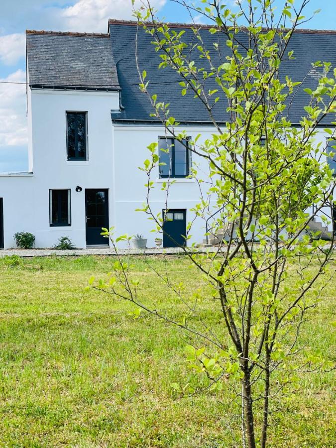La Grange Du Pigeonnier Authenticity And Gentleness 10 Minutes From Tours Villa La Riche Exterior photo